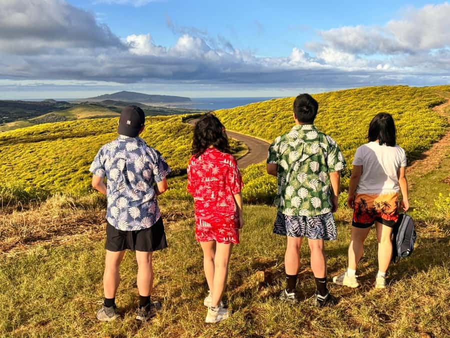 Rapa Nui: 3 Excursions with Hotel Transfers - Final Thoughts