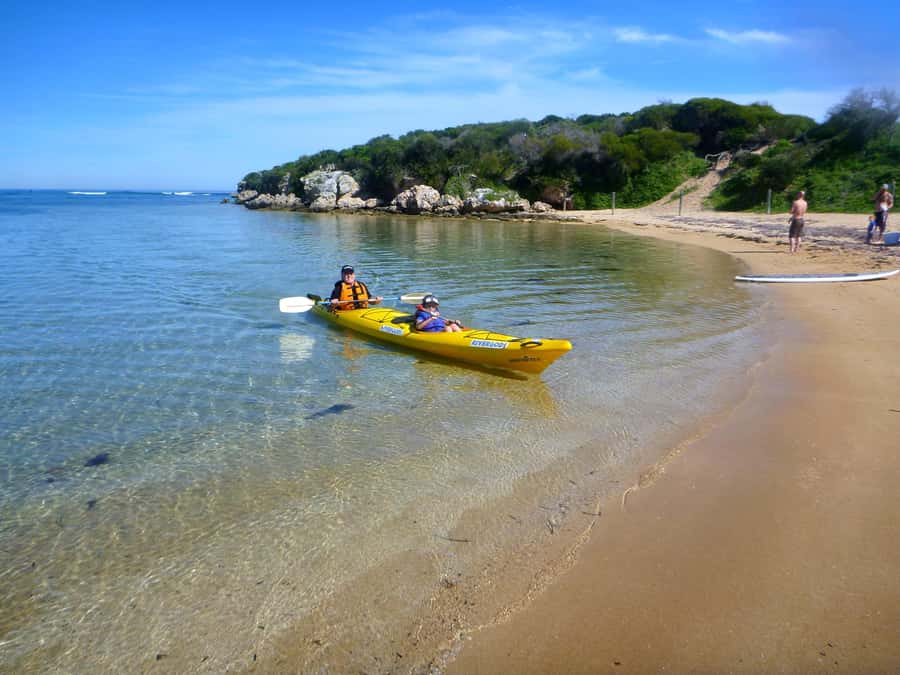 Perth: Shoalwater Islands Marine Park Sea Kayaking Tour - Why This Tour Offers More Than Just Paddling