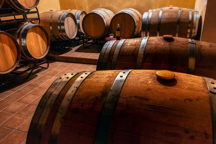 From Villa de Leyva: Vineyard Tour - From Villa de Leyva: Vineyard Tour — A Taste of Colombia’s Growing Wine Heritage