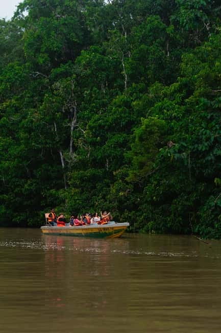 Sandakan: Kinabatangan River Wildlife Cruise with Lunch - The Balance of Cost and Value