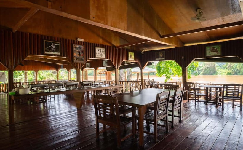 Sandakan: Kinabatangan River Wildlife Cruise with Lunch - Who Will Enjoy This Tour?