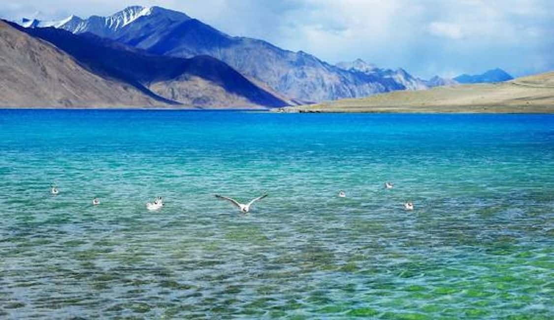 Overnight Pangong Tour From Leh With Thiksey & Shey Palace - Transportation, Timing, and Value