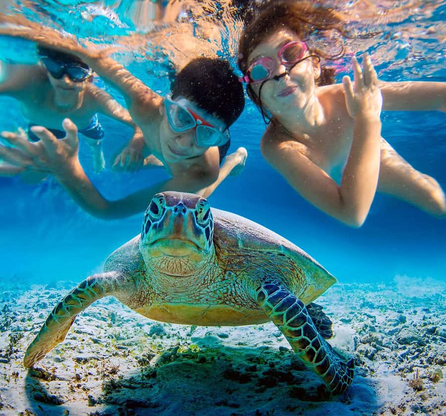 Mancora: Swimming and bathing with turtles | Entrance | - The Itinerary Breakdown