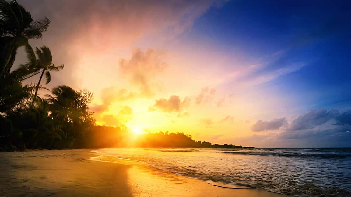 Punta Cana: Sunset Horseback Ride in Macao Beach and Forest - Final Thoughts