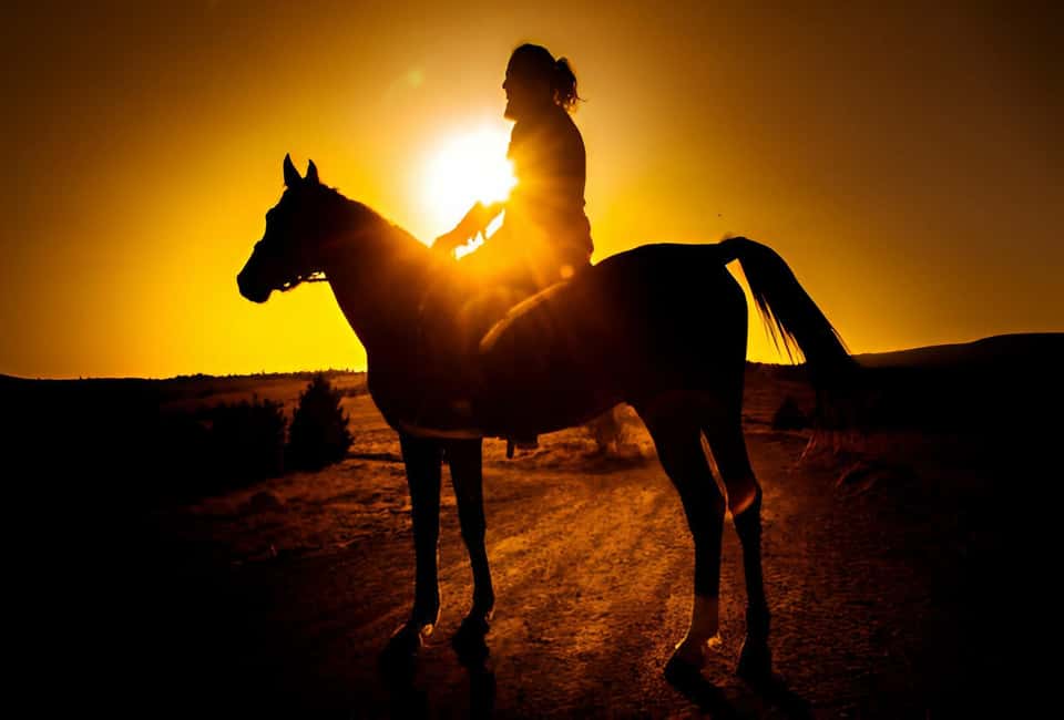 Punta Cana: Sunset Horseback Ride in Macao Beach and Forest - Authentic Experience and Genuine Value