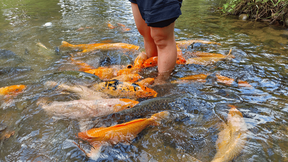 Sabah: Kundasang Nature Day Tour - Authentic Experiences & Hidden Details