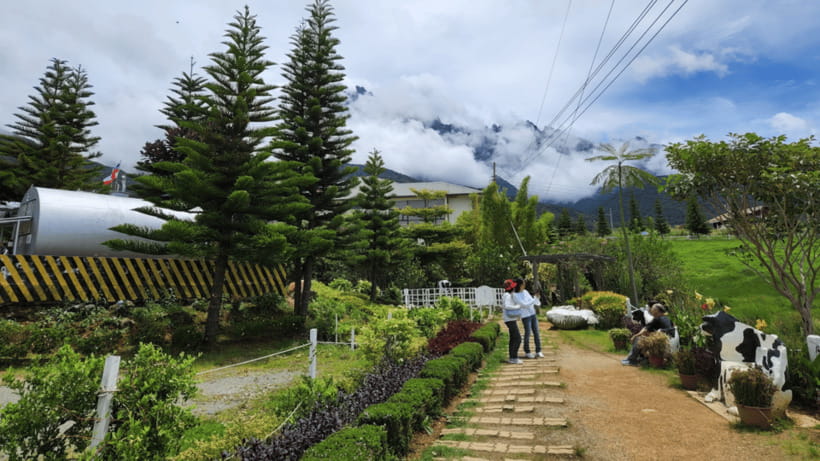 Sabah: Kundasang Nature Day Tour - Who Will Love This Tour?