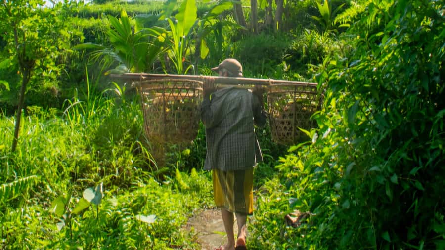 Sidemen Trekking: A Walk from a Different Perspective - Key Points