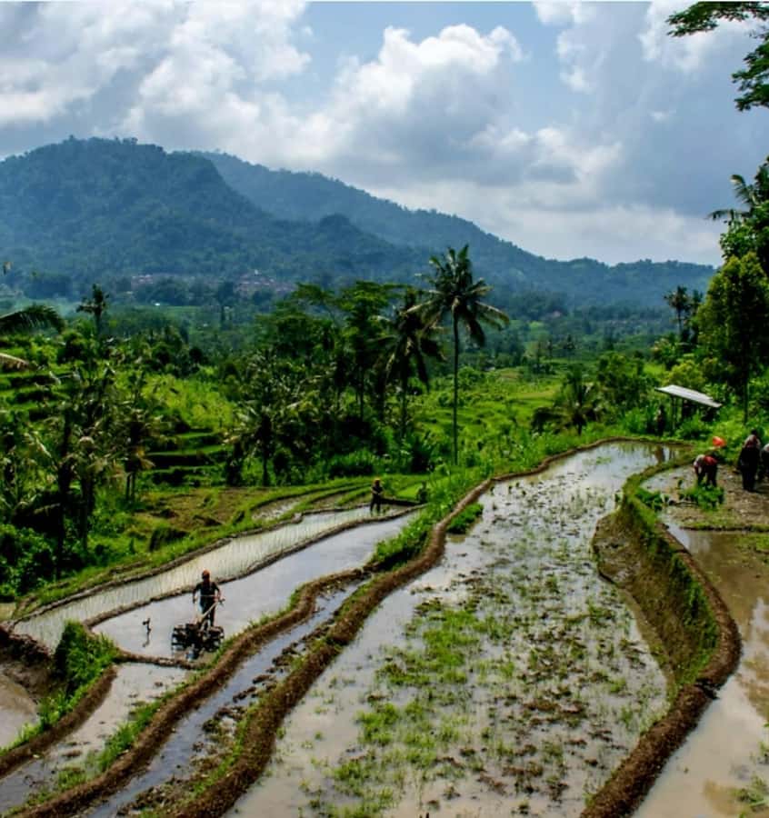 Sidemen Trekking: A Walk from a Different Perspective - Detailed Breakdown of the Itinerary