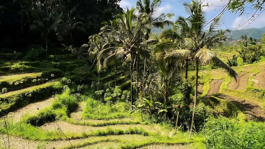 Sidemen Trekking: A Walk from a Different Perspective - Overall Value & Suitability