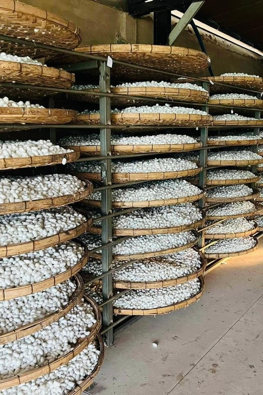 Visiting Silk Factory & Coffee - Scenic Beauty and Coffee Tasting