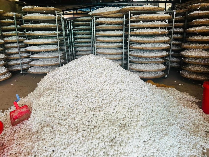 Visiting Silk Factory & Coffee - Practical Details and Value