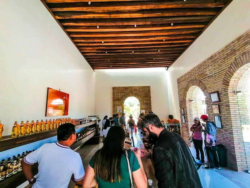 Oaxaca- Mezcal Voices - Detailed Itinerary Breakdown