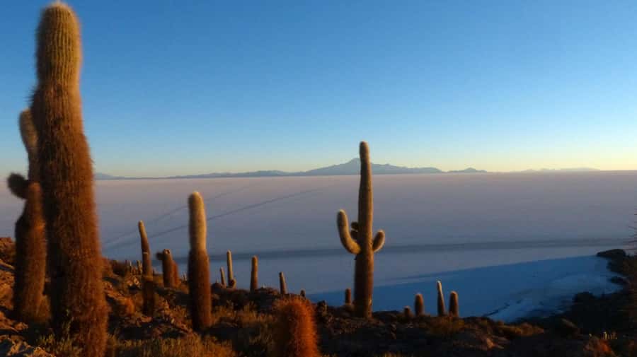 From La Paz: Uyuni Salt Flats & Lagoons 5-Day Tour - FAQ
