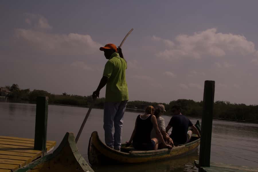 La Boquilla: 3-Hour Canoe Tour through the Mangroves - Who Will Love This Tour?