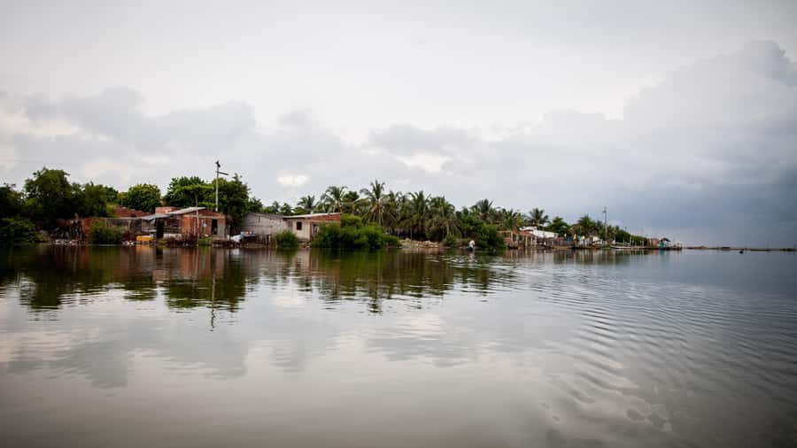 La Boquilla: 3-Hour Canoe Tour through the Mangroves - FAQ