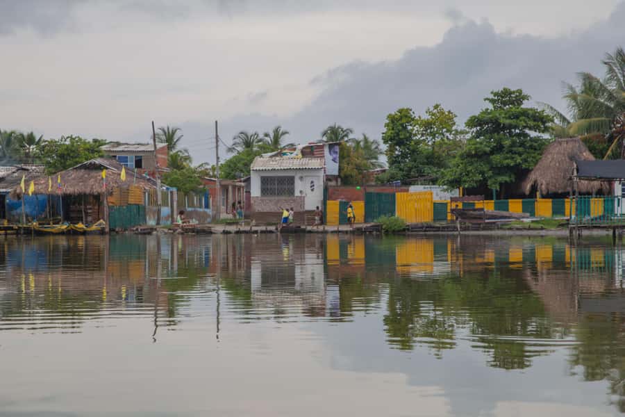 La Boquilla: 3-Hour Canoe Tour through the Mangroves - Final Words