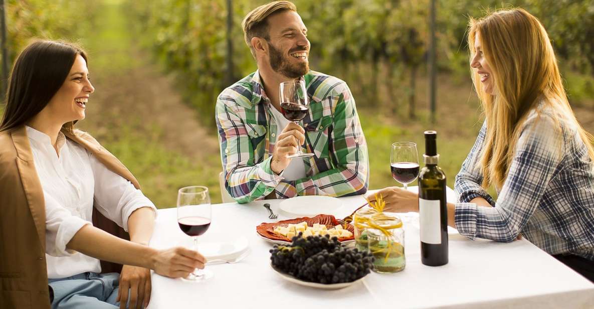 From Bucharest: Exclusive Dealu Mare Wine Tasting Tour - Final Thoughts