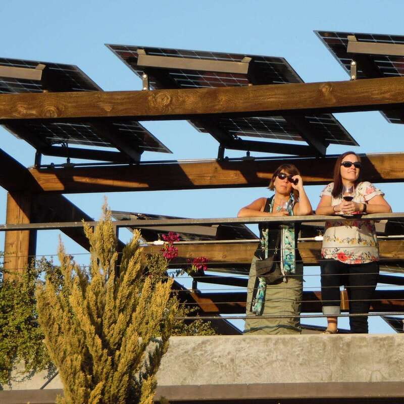 Ensenada: Old Wine Route Tour with 4 Winery Visits - Who Should Consider This Tour?