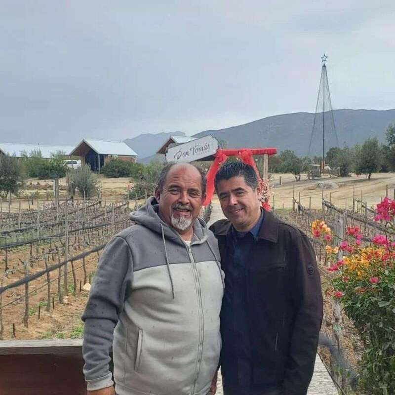 Ensenada: Old Wine Route Tour with 4 Winery Visits - What’s Included and What’s Not