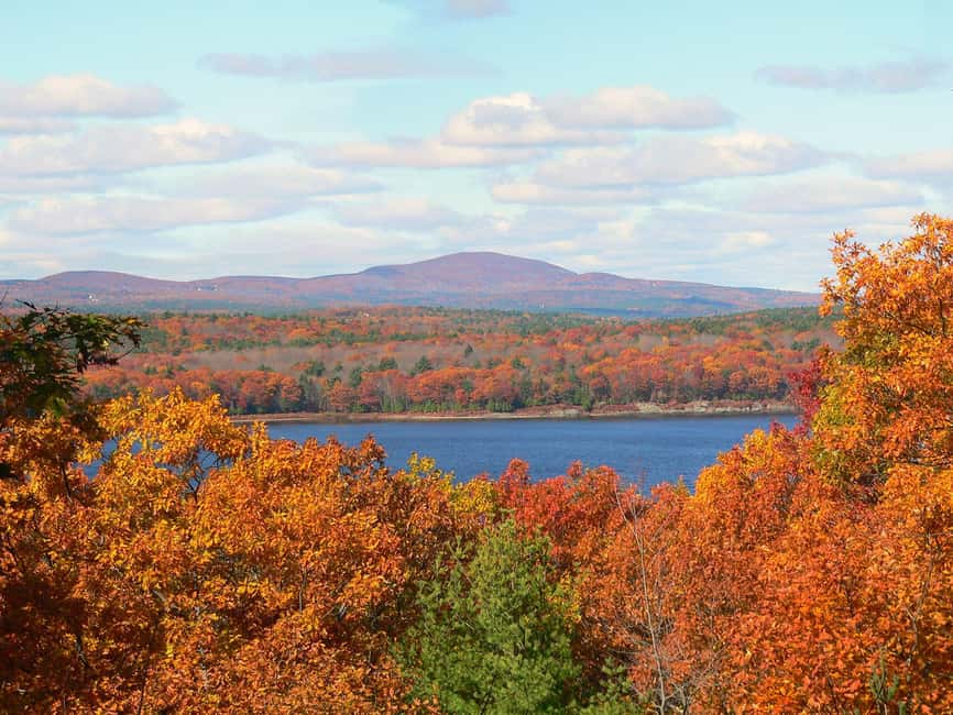 The New England Botanic Garden Day Trip from Boston - Who Should Consider This Tour?