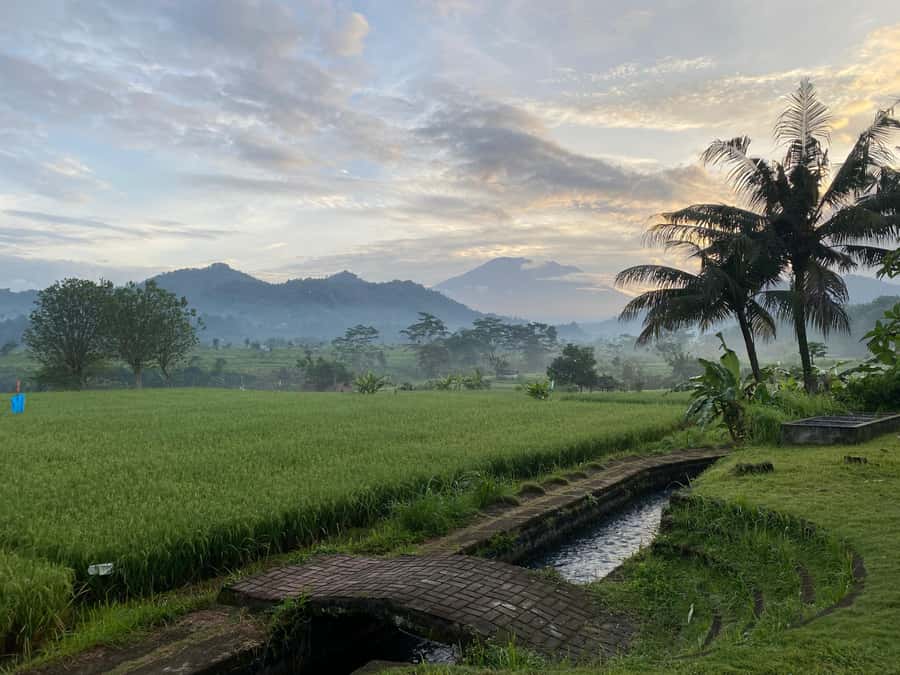 Sidemen: Rice Terraces and Hidden Waterfall - Key Points