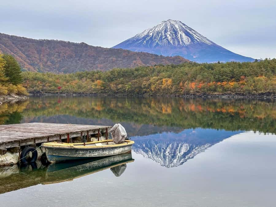 Mt Fuji Area: In-depth Guided Adventure in English - Key Points