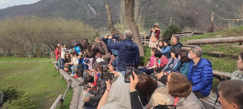 Almaty: Big Almaty Lake Hike and Falconry Show Tour - The Value of the Experience