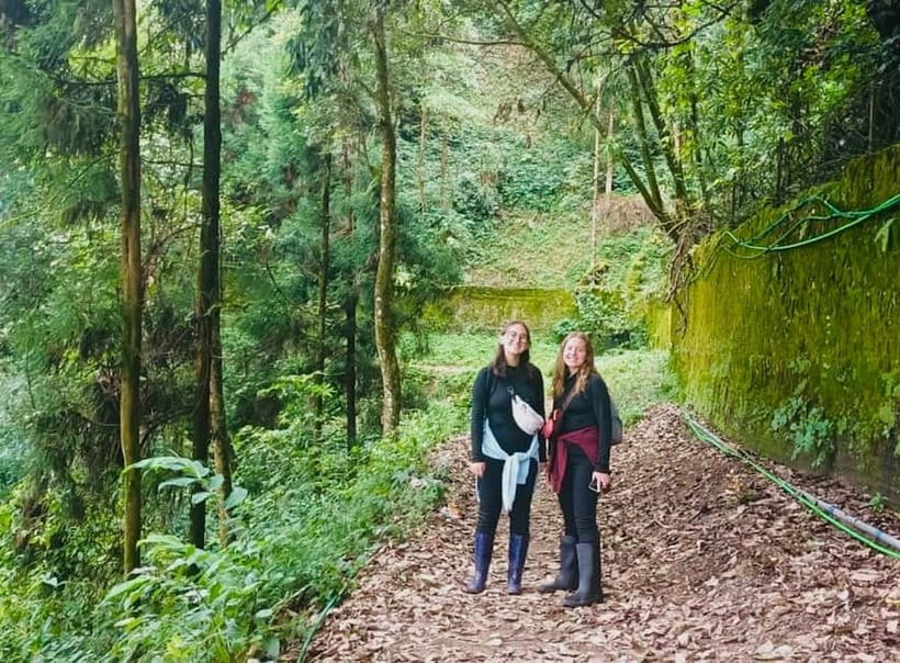 Darjeeling Cultural & Nature Walking Guided Tour - What’s Included & What’s Not