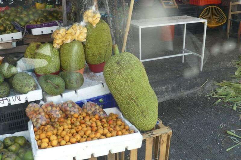 -Acapulco: Private Tour with Lunch and Hotel Pickup - Good To Know