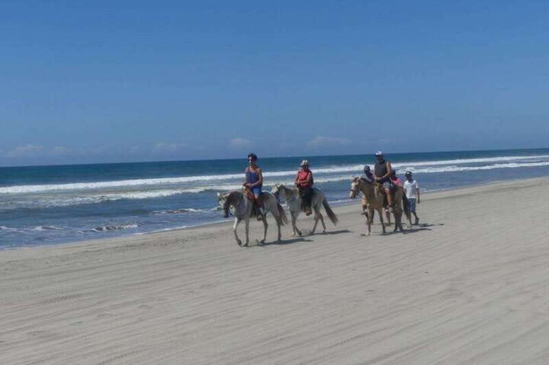 -Acapulco: Horseback Ride Exp. Crocodile Farm, and City Tour - The Crocodile Farm: Up Close and Personal with Nature