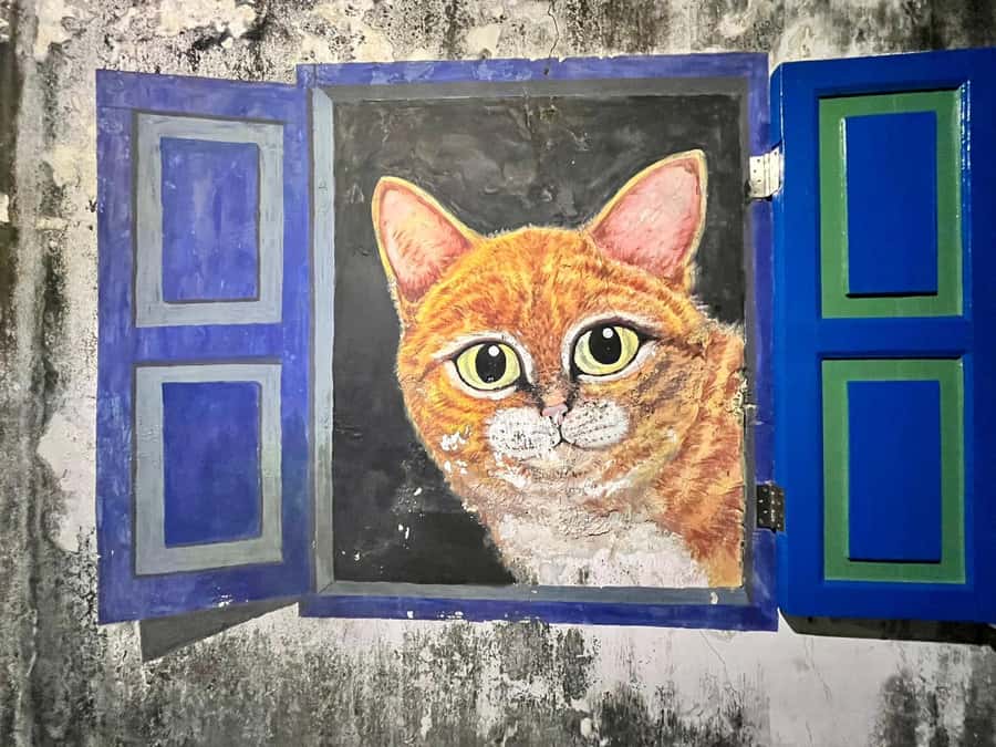 Georgetown Street Art Tour & Mix Culture Local Food Tasting - Who Is This Tour Best For?