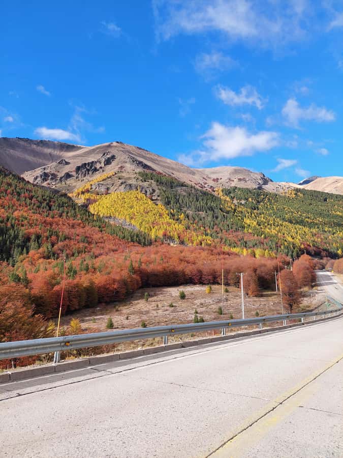 3-Day Patagonia: Cerro Castillo Trekking, Climbing, Fishing - Key Points