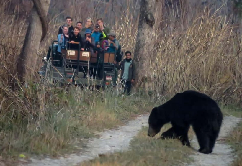 From Kathmandu/Pokhara: 3-Day Chitwan National Park Tour - Check-in and First Impressions in Sauraha