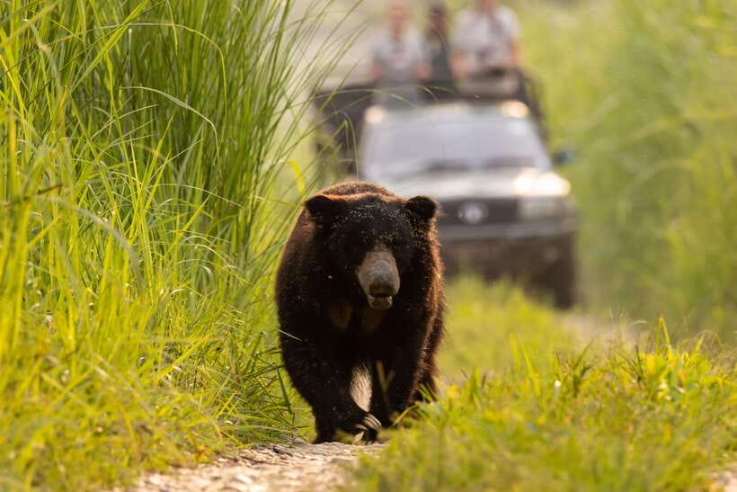 From Kathmandu/Pokhara: 3-Day Chitwan National Park Tour - Day 2: Intimate Encounters with Nature