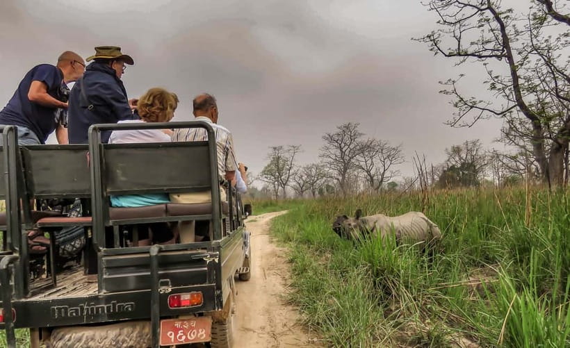 From Kathmandu/Pokhara: 3-Day Chitwan National Park Tour - Overall Value and Experience