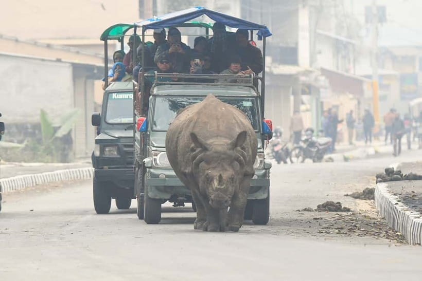 From Kathmandu/Pokhara: 3-Day Chitwan National Park Tour - Why This Tour Works