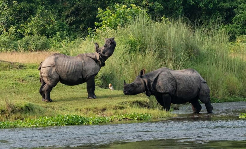 From Kathmandu/Pokhara: 3-Day Chitwan National Park Tour - Journey to Chitwan: Starting Point and Transportation