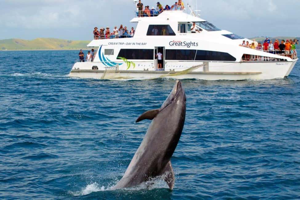 From Auckland: Full Day Private Tour to the Bay of Islands - Frequently Asked Questions