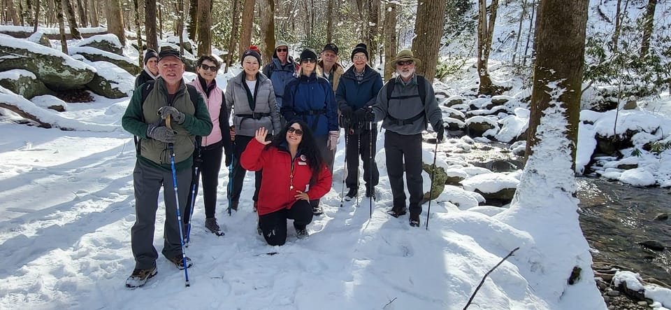 Gatlinburg: Great Smoky Mts National Park Waterfall Tour - Who Will Appreciate This Tour?