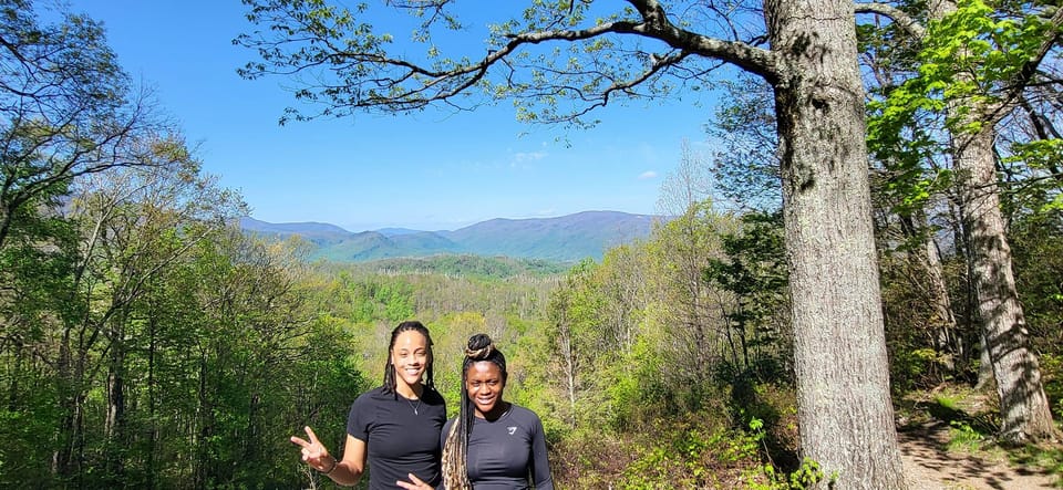 Gatlinburg: Great Smoky Mts National Park Waterfall Tour - Why We Think This Tour Offers Great Value