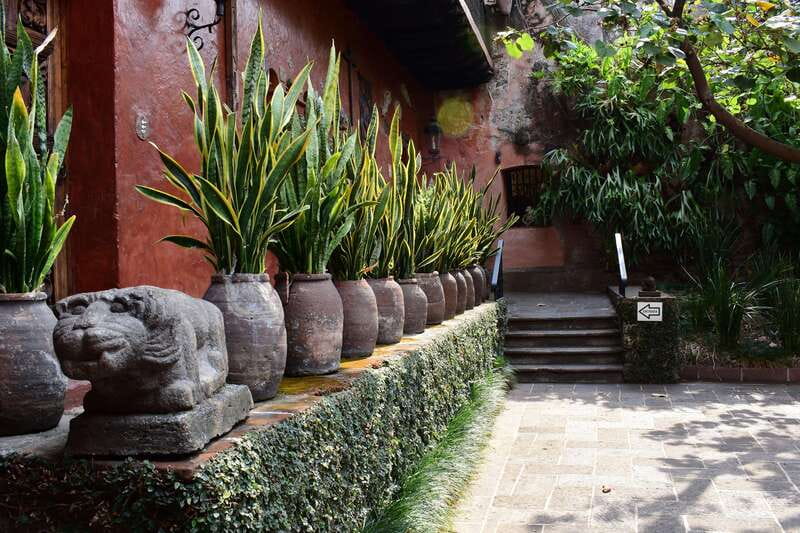 Cuernavaca: Museo Robert Brady Entrance Tickets - The Rich Legacy of Casa de la Torre