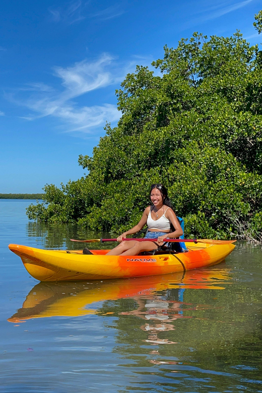 Tierra Verde: Shell Key Mangrove Private Guided 1.5 hr Tour - Good To Know