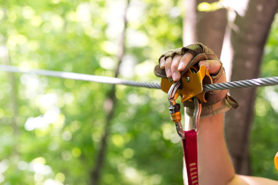 Henderson, Minnesota: 14-Line Zipline Canopy Tour - Why This Tour Offers Good Value
