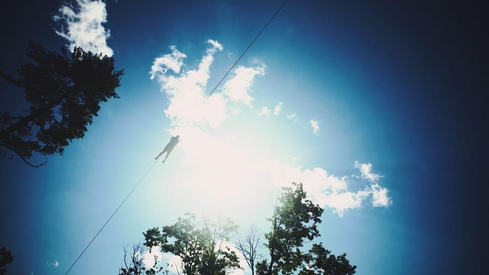 Henderson, Minnesota: 14-Line Zipline Canopy Tour - Who Should Consider This Tour?