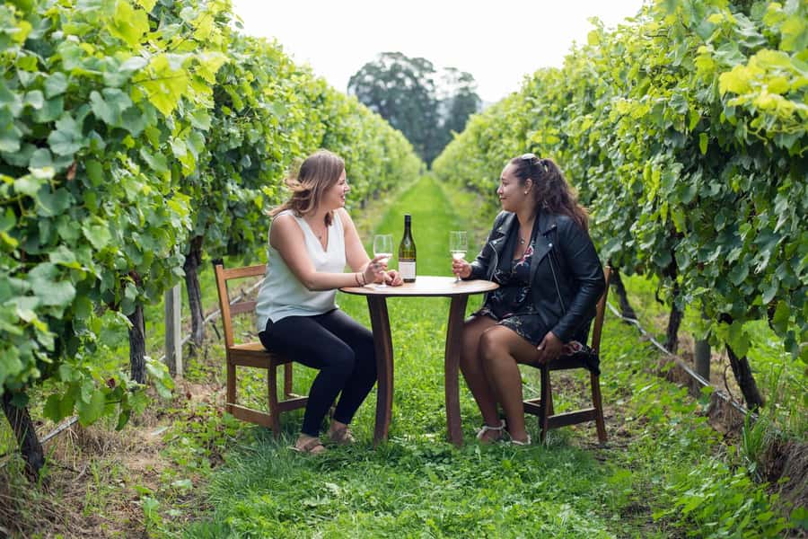 Marlborough Half Day Wine Tour From Picton 1pm - Why This Tour Is Worth Considering