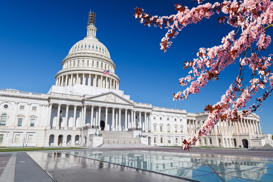 Full Day Washington DC & Mount Vernon Tour - Who Should Consider This Tour?
