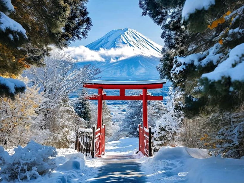 Tokyo: Mt. Fuji & Lake Kawaguchi Instagram Full Day Trip - What’s Included and What’s Not