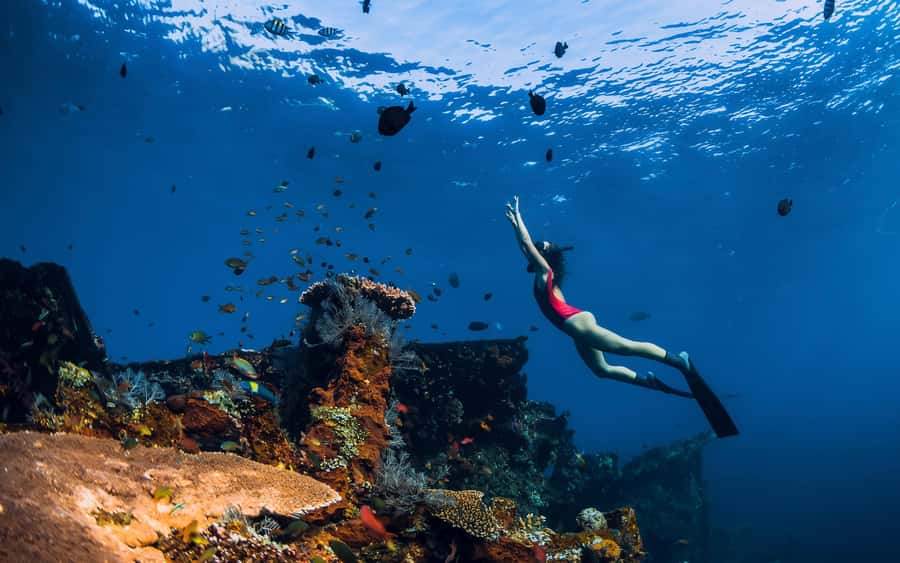 Bali/Nusa Penida: Manta Point Snorkel Boat & West Coast Tour - Practical Details & What to Expect