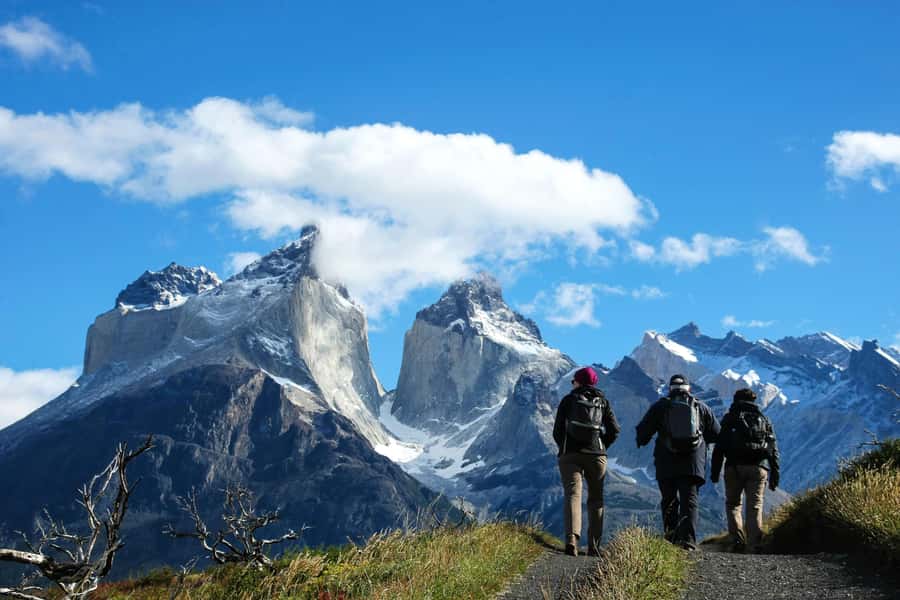 Full-Day Torres del Paine National Park from El Calafate - The True Value of This Tour